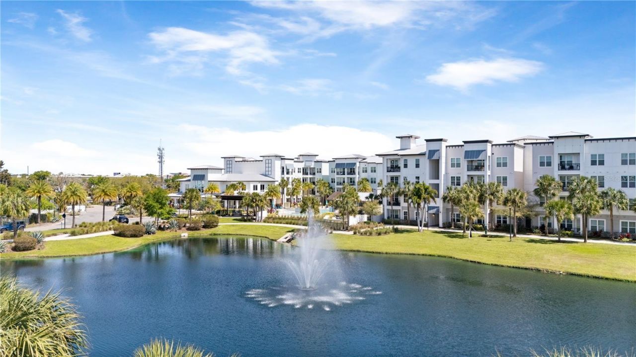 5351 Bridge Street, Unit 49, Tampa, FL 33611 Photo