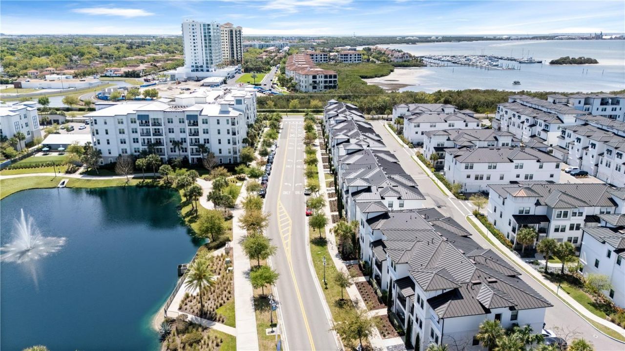 5351 Bridge Street, Unit 49, Tampa, FL 33611 Photo