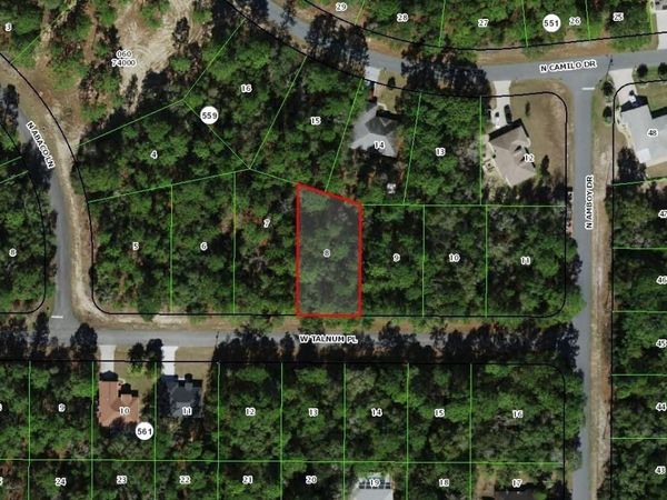 3231 W TALINUM PLACE , CITRUS SPRINGS, FL 34433