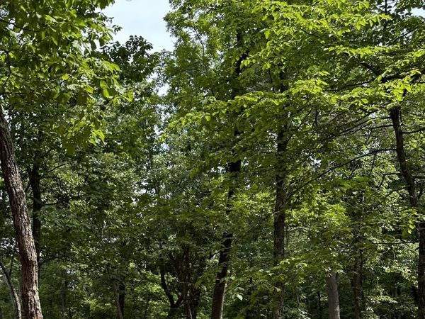 52 Totem Lodge Road, Averill Park, NY 12123