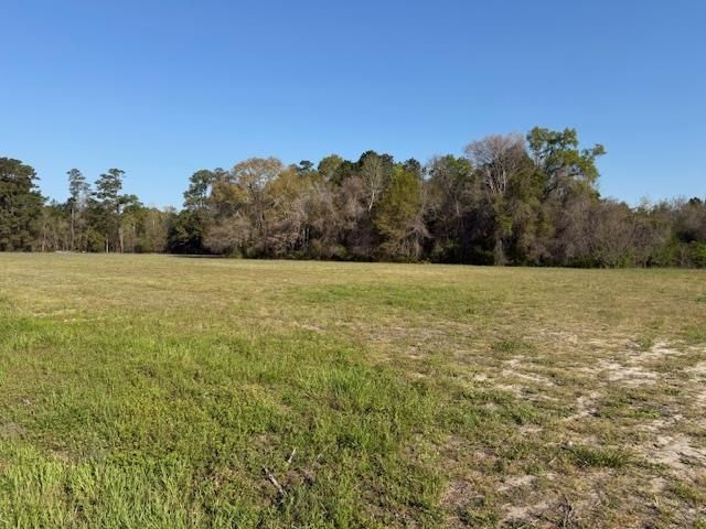 Tbd Joyner Swamp Rd.  Photo 6