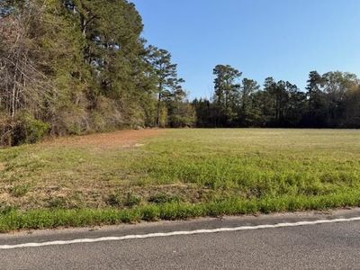 TBD Joyner Swamp Rd., Galivants Ferry, SC 29544