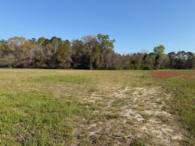 Tbd Joyner Swamp Rd. Photo 7