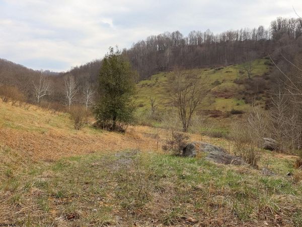 TBD Mudlick Run Road, Fairmont, WV 26554