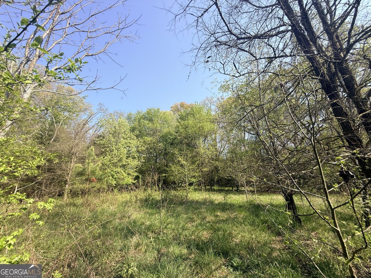 3065 Sycamore Road, Royston, GA 30662 Main Photo