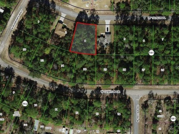 3386 W TALINUM PLACE , CITRUS SPRINGS, FL 34433