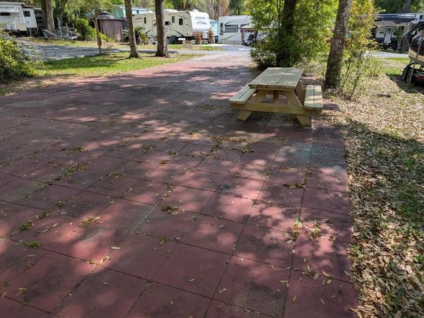 25215 NE 142ND STREET , SALT SPRINGS, FL 32134