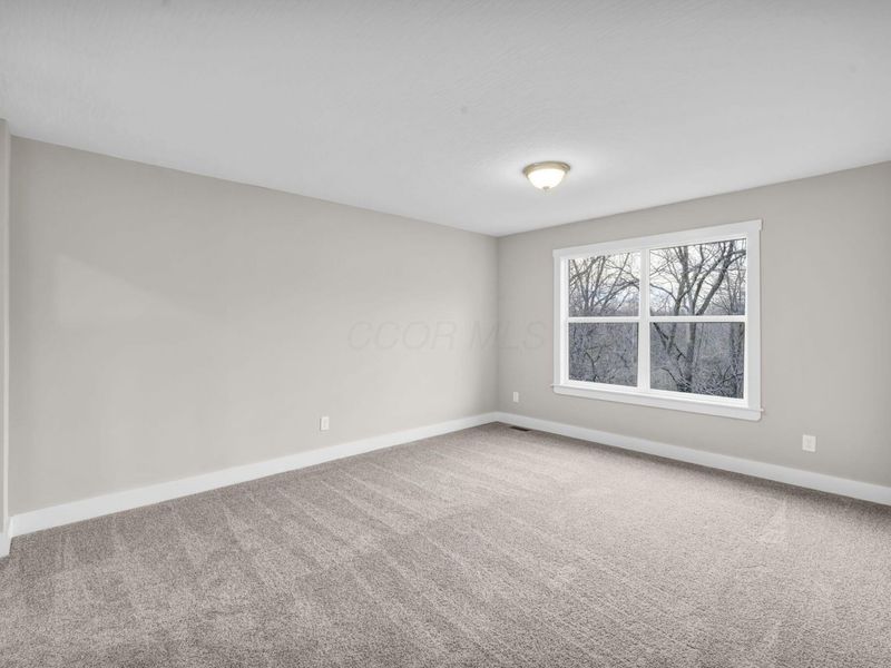 10205 Coronado Court, Plain City, OH 43064 Photo 41
