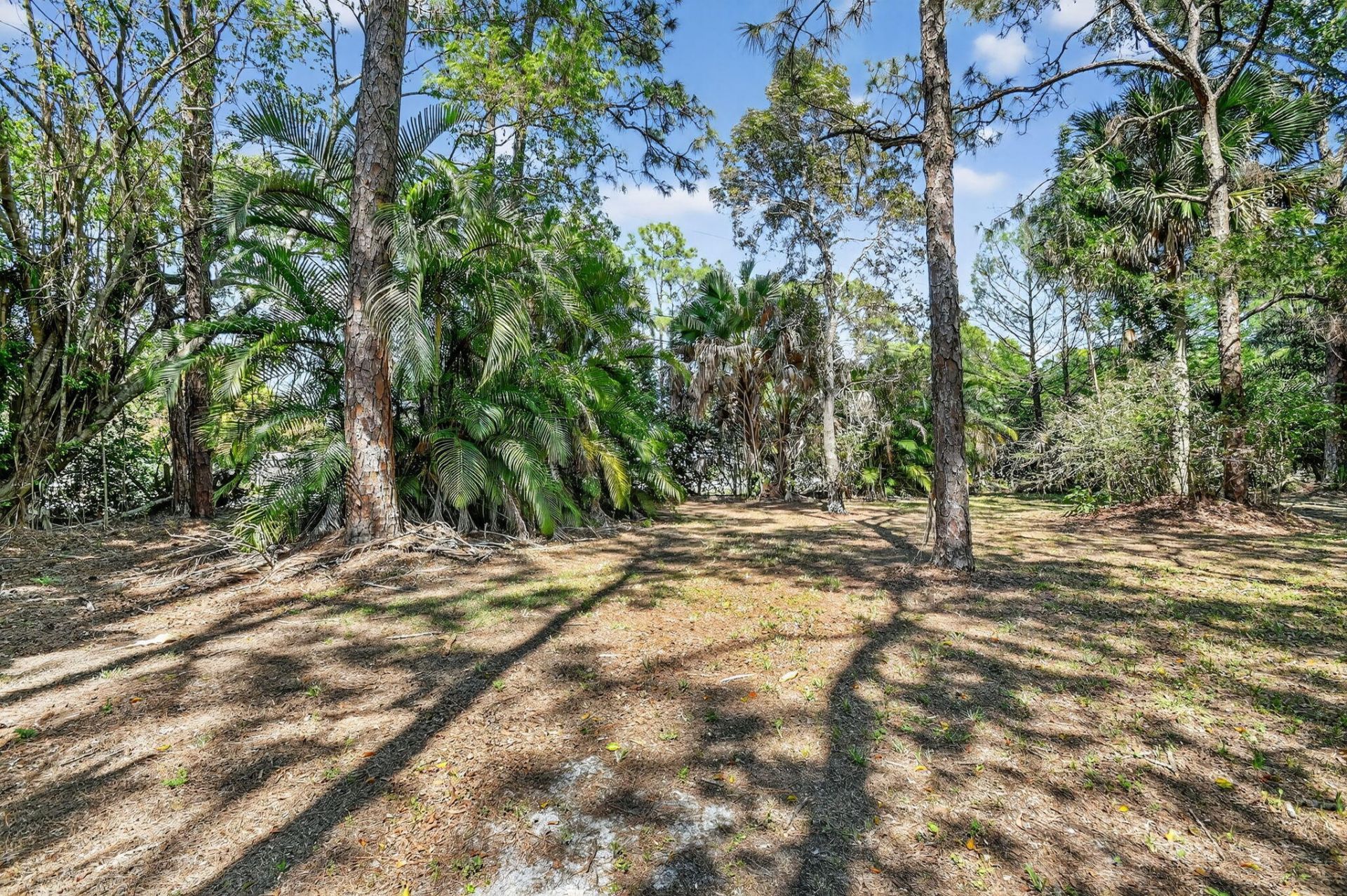 12140 57th Rd Road N, West Palm Beach, FL 33411 Photo