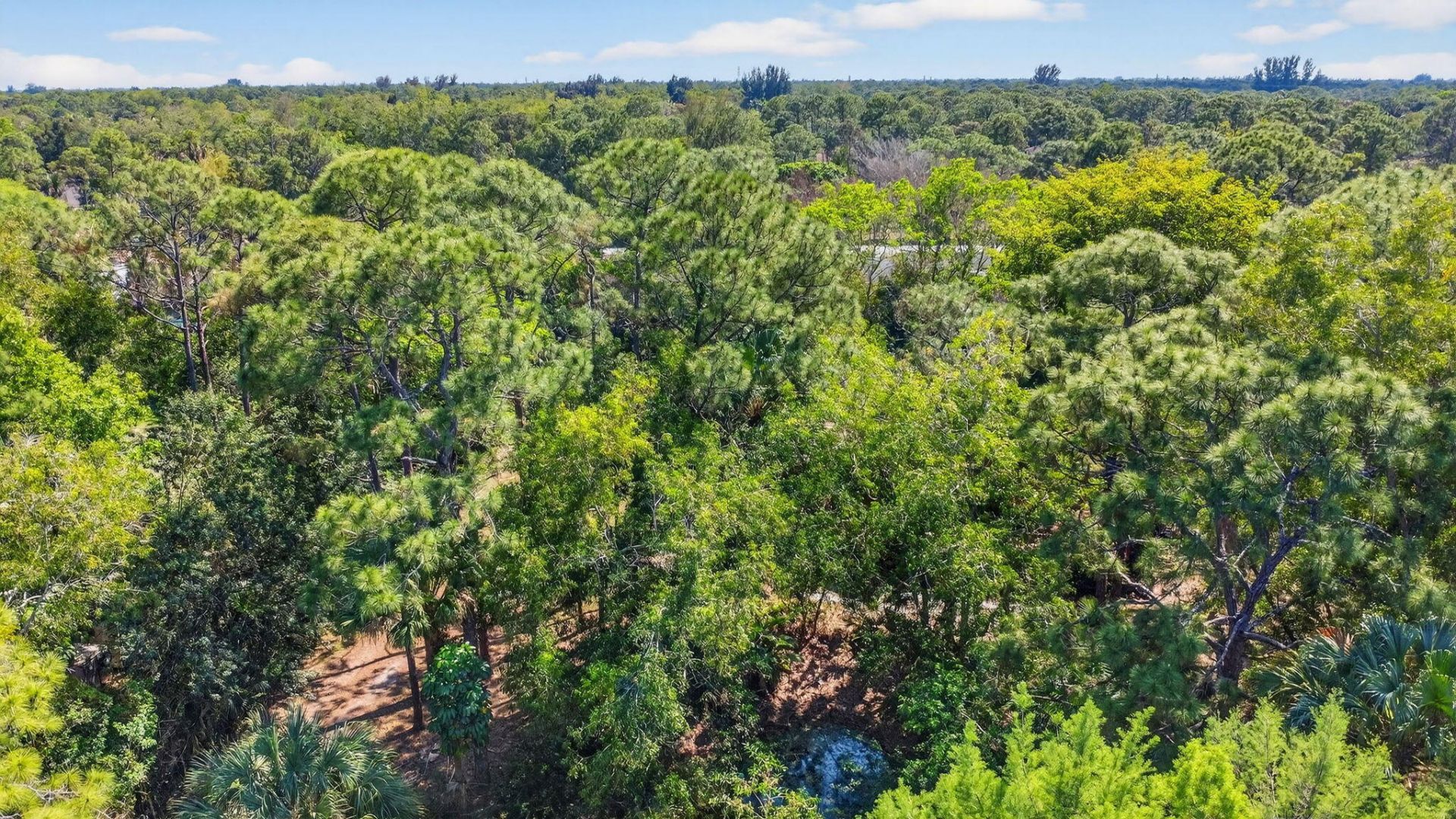 12140 57th Rd Road N, West Palm Beach, FL 33411 Photo