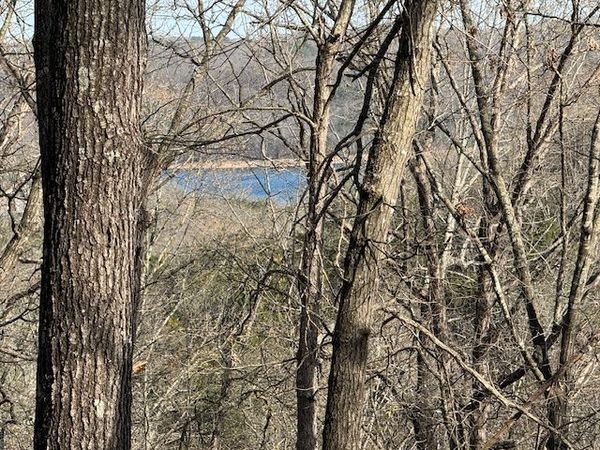 190 Edgewater Drive, Eureka Springs, AR 72631