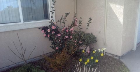 1520 Cherokee Trail, Reno, NV 89521 Photo