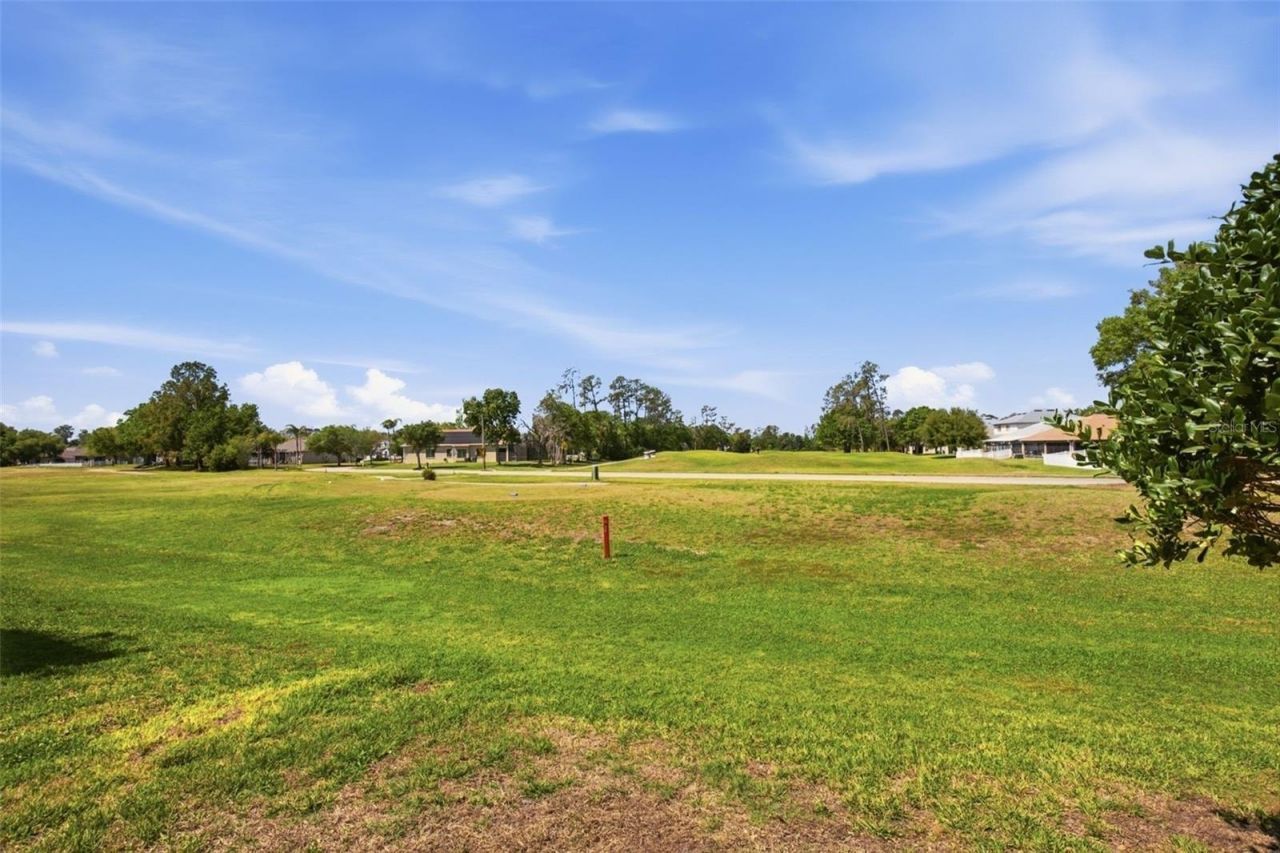 5917 Wedgefield Drive , Zephyrhills, FL 33541 Photo