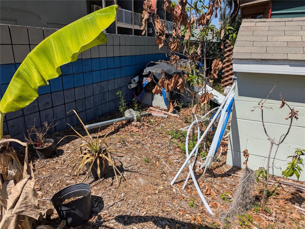 8740 N Tangerine Place, Tampa, FL 33617 Photo