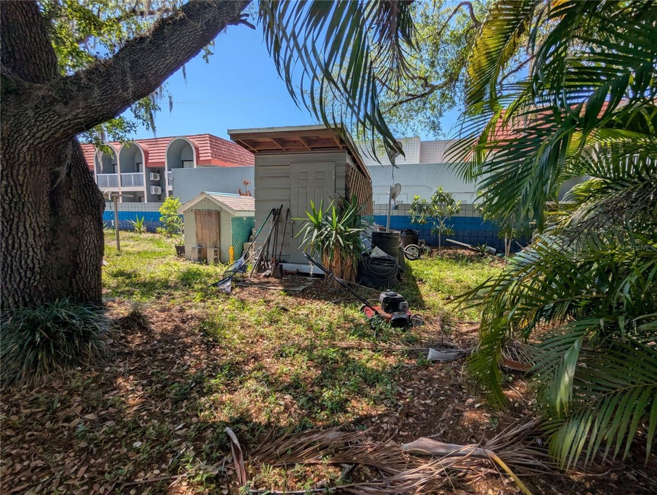 8740 N Tangerine Place, Tampa, FL 33617 Photo