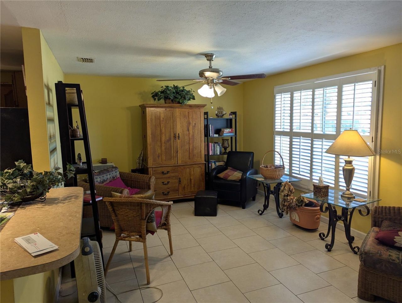 8740 N Tangerine Place, Tampa, FL 33617 Photo