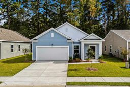 547 Silver Pidgeon St  photo 4