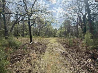 129 Treemount Lane , Gaston, SC 29053