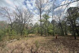 129 Treemount Lane  photo 4