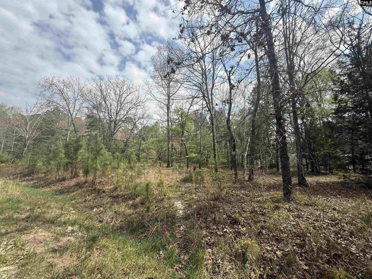 129 Treemount Lane  Photo 4