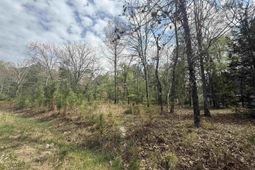 129 Treemount Lane  photo 4