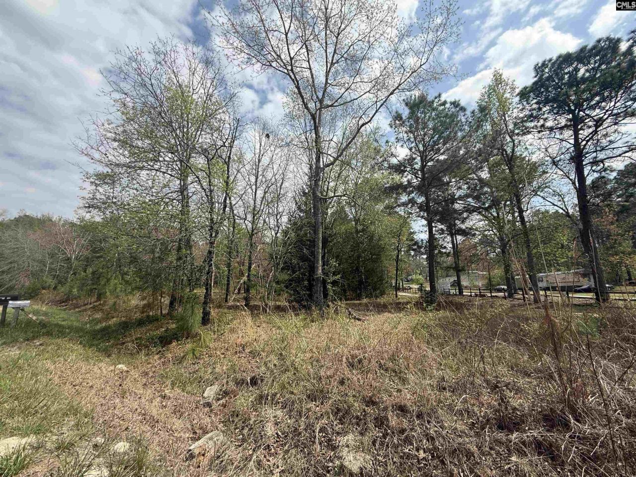 129 Treemount Lane  Photo 5