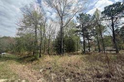 129 Treemount Lane  photo 4