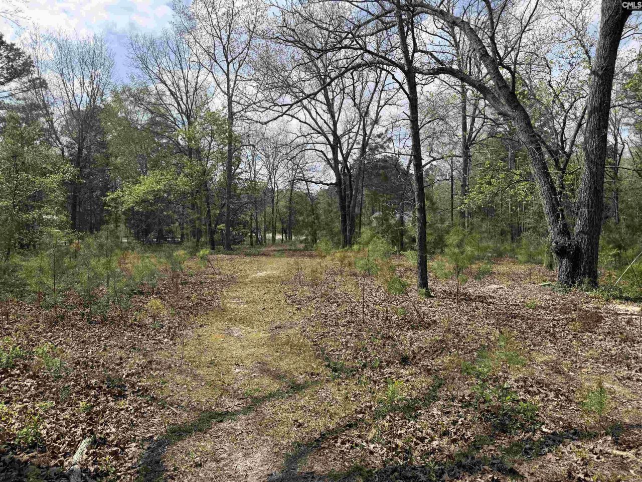 129 Treemount Lane  Photo 6