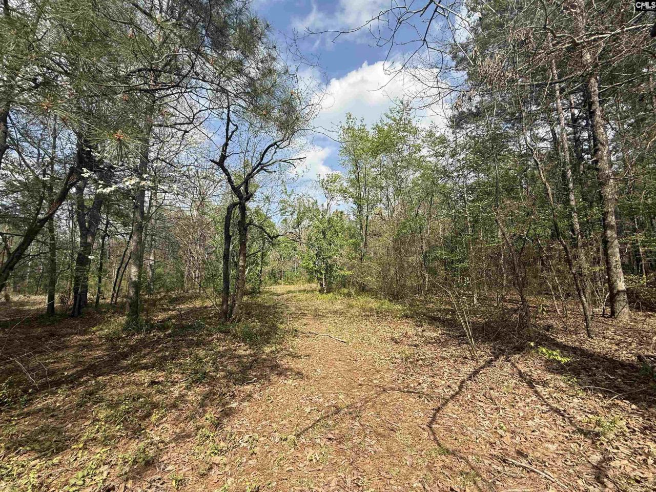 129 Treemount Lane  Photo 7