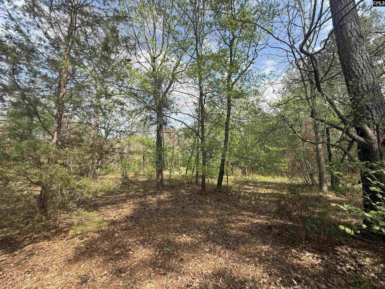 129 Treemount Lane  Photo 8