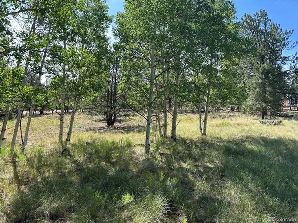 519 Hayhook Way , Hartsel, CO 80449