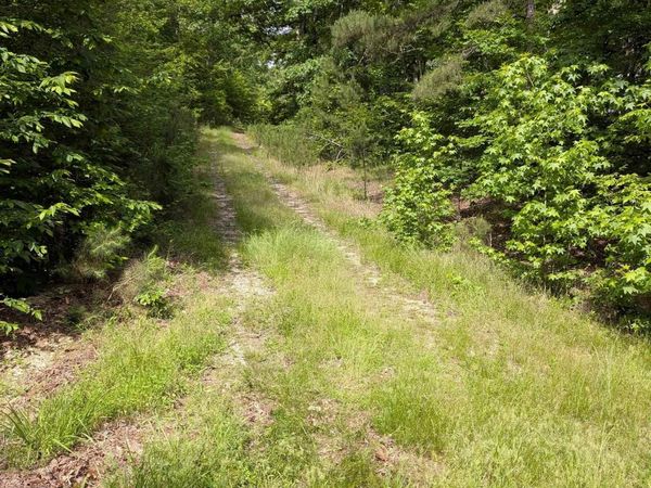 TBD PEDANTE Lane, Hot Springs Village, AR 71909