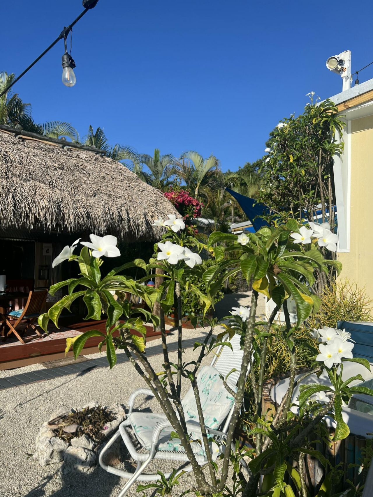 8 Grassy Road, Key Largo, FL 33037 Photo