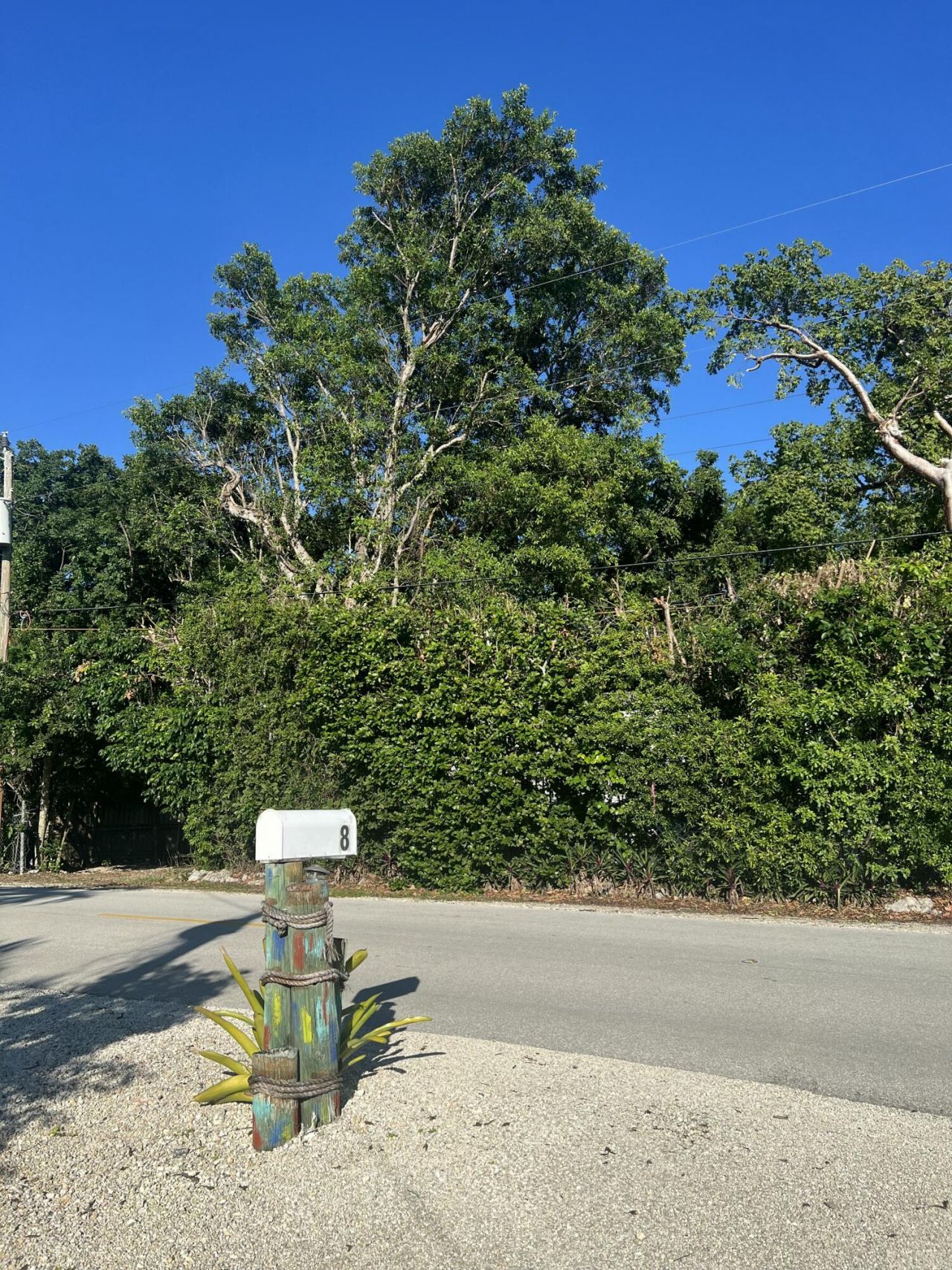 8 Grassy Road, Key Largo, FL 33037 Photo