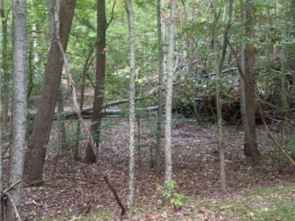 1145 Embry Court , Ranger, GA 30734