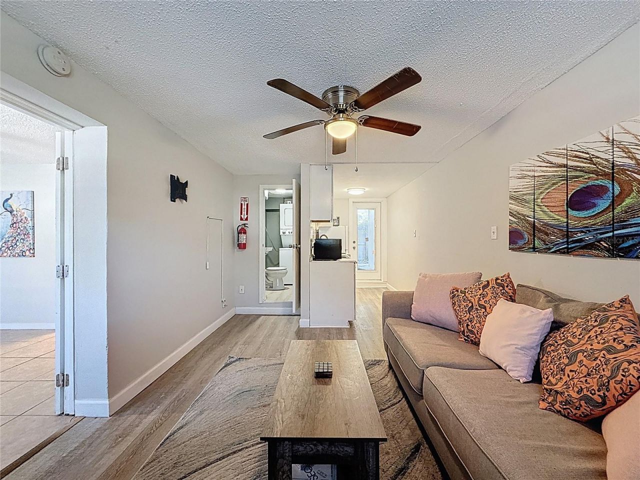 3631 Park Street N, Saint Petersburg, FL 33710 Photo