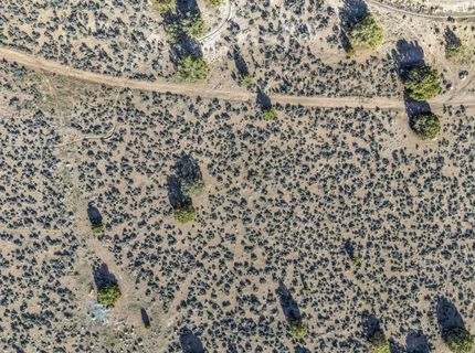 1374 Hunters Point Drive, Gardnerville, NV 89410 Photo