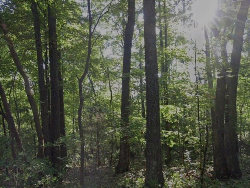 1148 Robinette Road, West Union, OH 45693 Photo 2