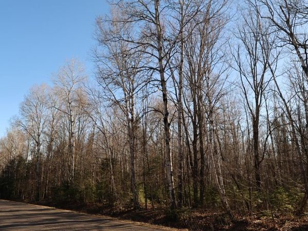 713XX Oulu Rock Rd, Brule, WI 54820