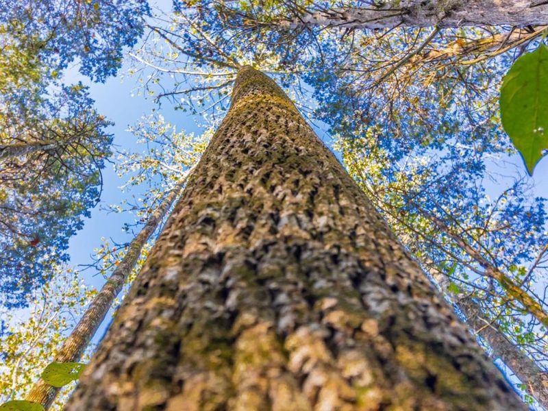 0 Paradise Valley Road, Peebles, OH 45660 Photo 6