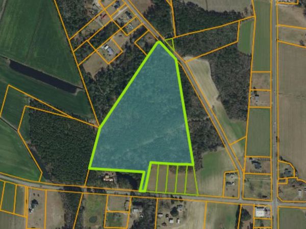 TBD Joyner Swamp Rd. , Galivants Ferry, SC 29544