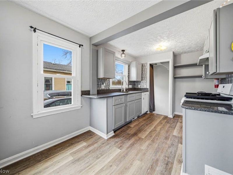 729 W Main Street, Geneva, OH 44041 Photo 16