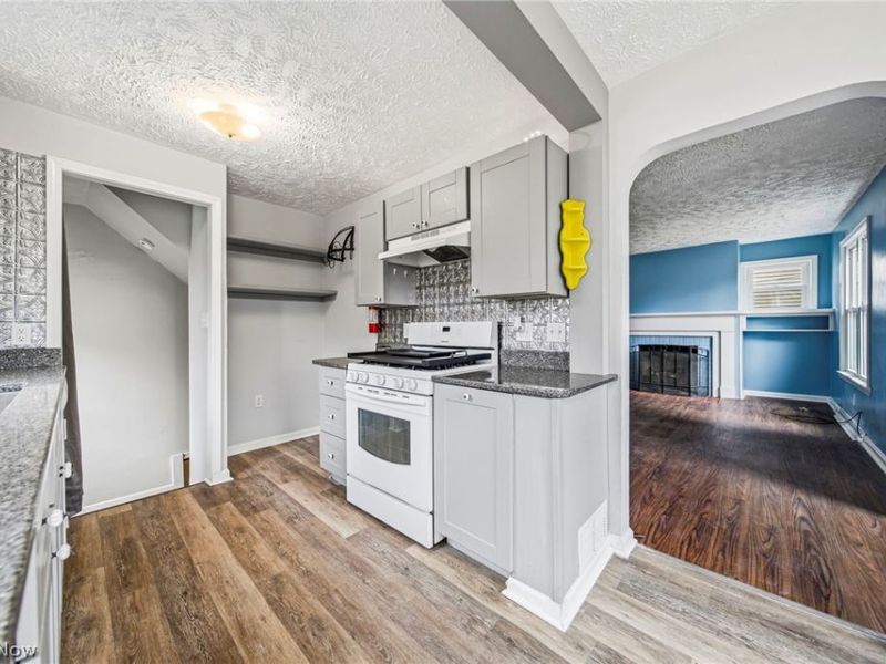 729 W Main Street, Geneva, OH 44041 Photo 17