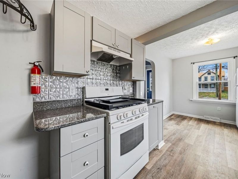 729 W Main Street, Geneva, OH 44041 Photo 19