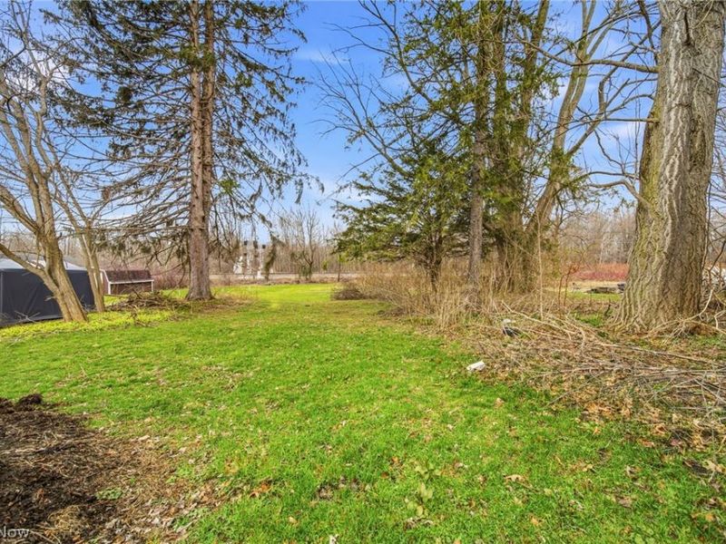 729 W Main Street, Geneva, OH 44041 Photo 31