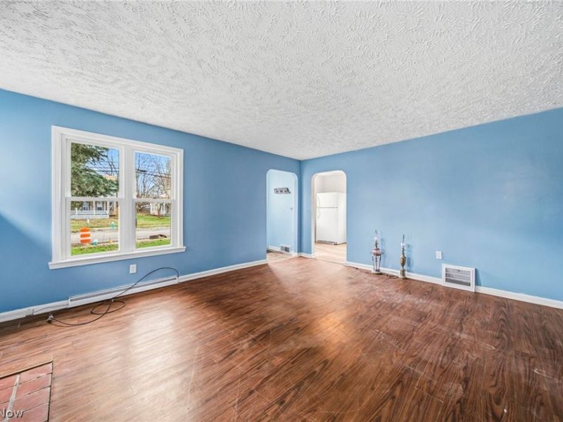 729 W Main Street, Geneva, OH 44041 Photo 8