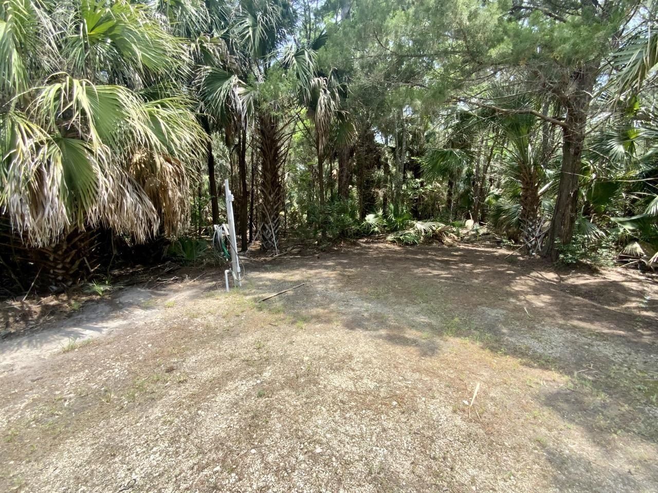 20000 Mossy Hammock Grade , Lamont, FL 32336 Photo