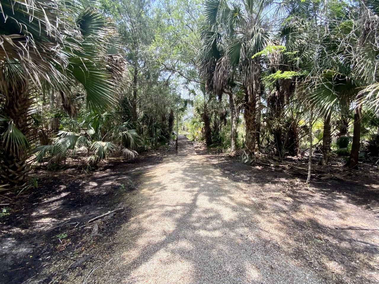 20000 Mossy Hammock Grade , Lamont, FL 32336 Photo