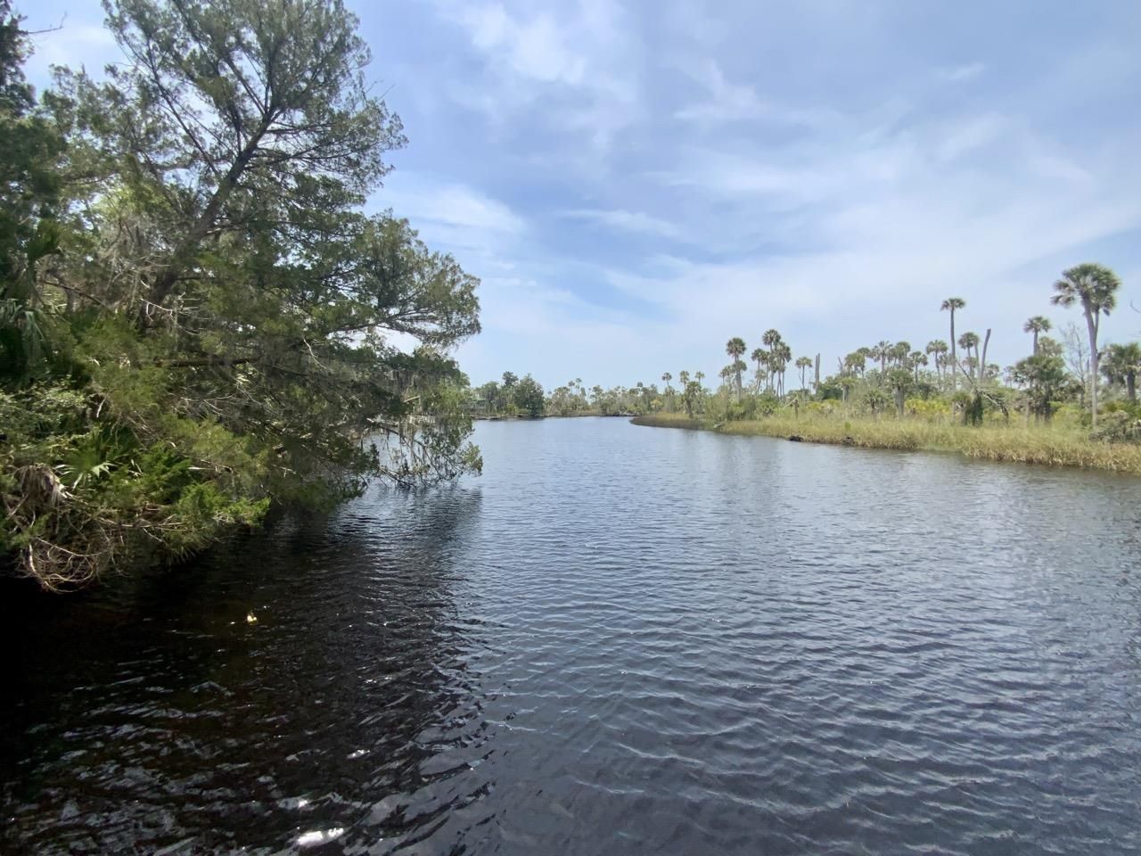 20000 Mossy Hammock Grade , Lamont, FL 32336 Photo