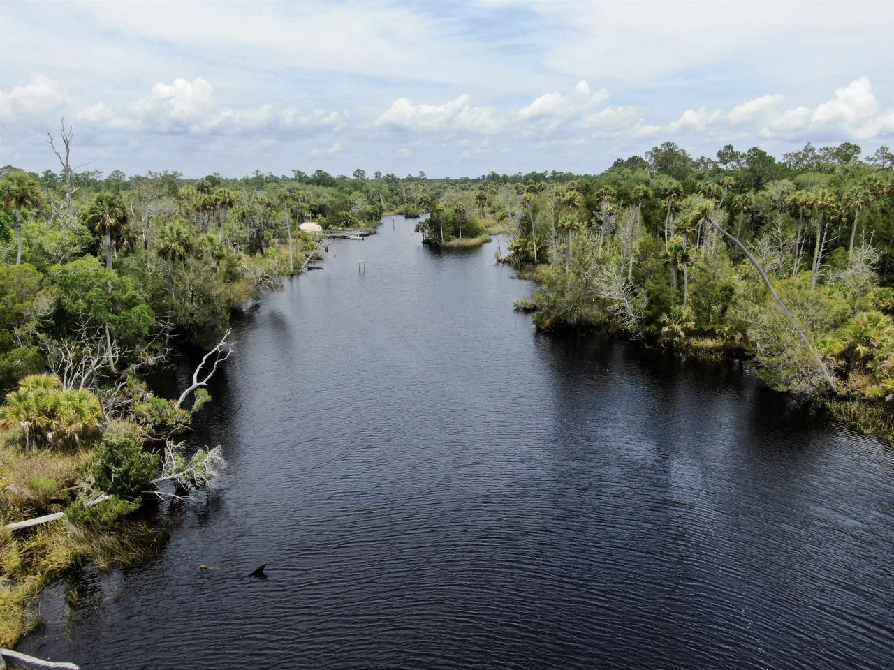 20000 Mossy Hammock Grade , Lamont, FL 32336 Photo
